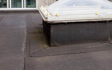 disadvantages of Carnwadric flat roofs