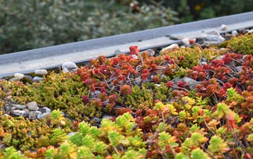 the cost of Carnwadric green roof installation