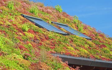 Carnwadric living roof systems
